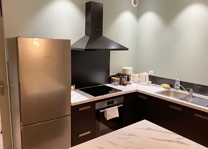 아파트 Coeur De Ideal Et 4 Pers 클레르몽페랑